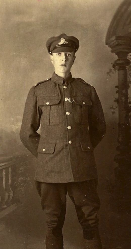 William Harry Critchlow in Royal Field Artillery uniform, studio portrait